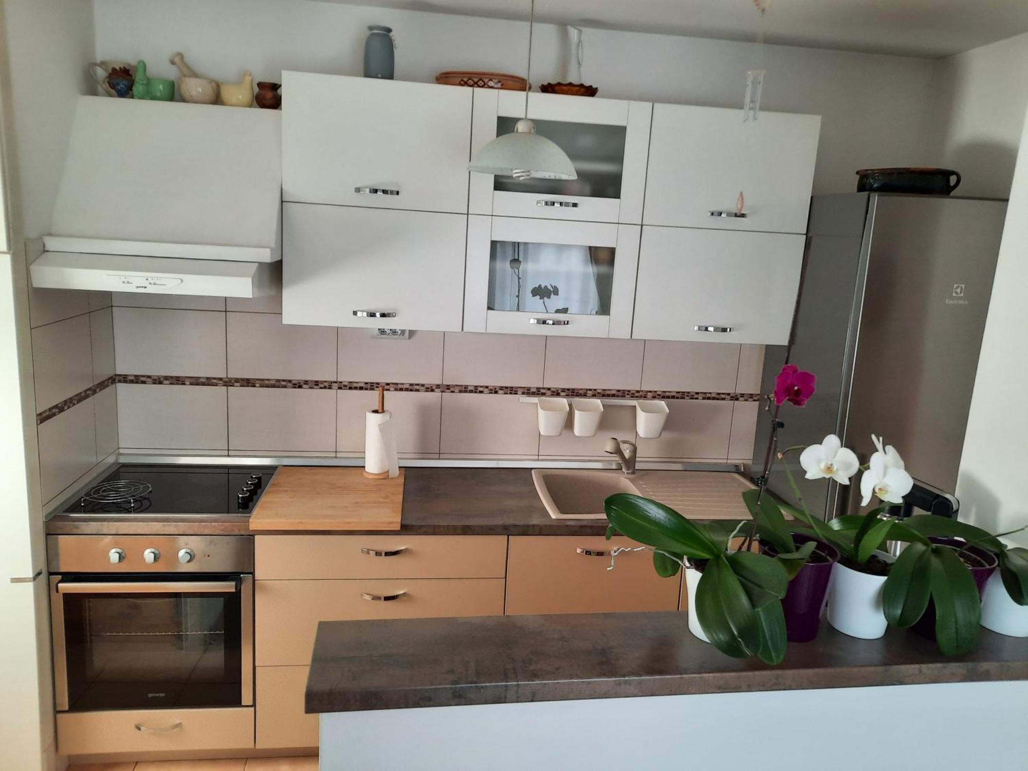 Apartments Anita Криквеница Стая снимка